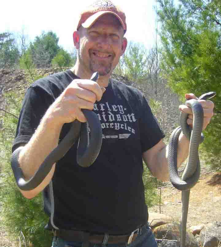 thumb Kurt with two black racers (Coluber constrictor)