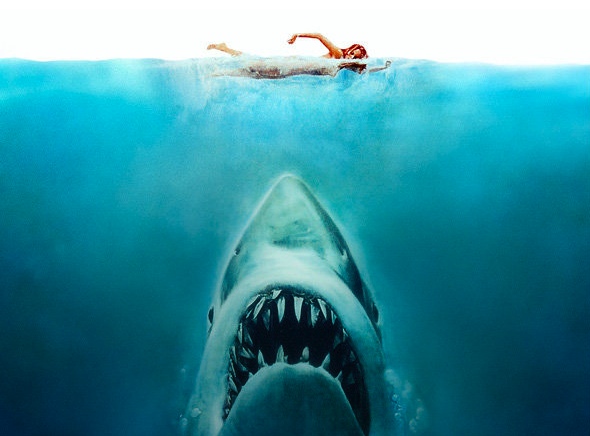 Jaws2.jpg