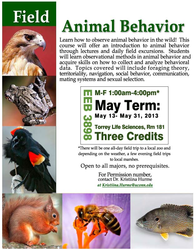 EEB 3898 Field Animal Behavior.jpg