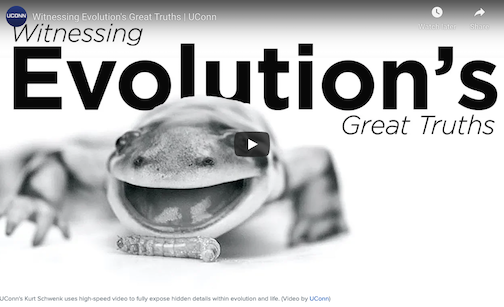 EvolutionGreatTruths.png