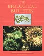 Biological Bulletin Cover 2004