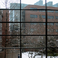 The "BioPharm" building, new home to many EEB faculty, as seen from the Up-N-Atom cafe in the BSP building, which houses the Biological Collections facility