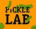 PickleLab2.jpg